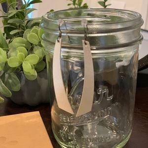 Nickel & Suede champagne Accent earrings